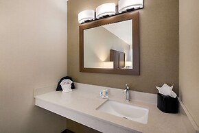 Comfort Inn Virginia Horse Center