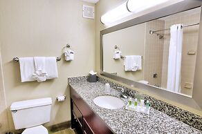 Holiday Inn St Petersburg N - Clearwater by IHG