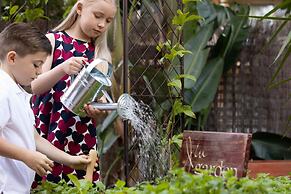 JW Marriott Gold Coast Resort & Spa