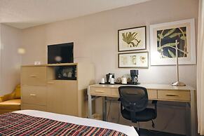 The Palms Inn & Suites