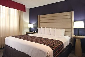 The Palms Inn & Suites