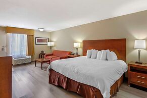 Best Western CottonTree Inn