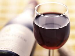 Hotel ibis Schiphol Amsterdam Airport