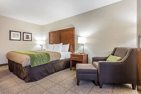 Quality Inn Summerville - Charleston
