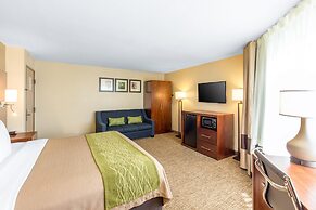 Comfort Inn Wichita Falls North