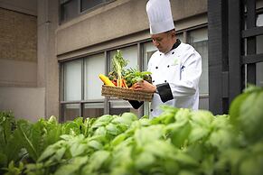 Holiday Inn Toronto Downtown Centre by IHG