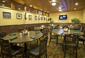 Holiday Inn Washington-Dulles International Airport by IHG