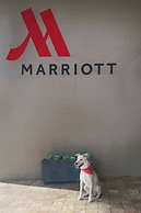 Marriott Dallas/Fort Worth Westlake