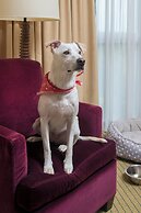 Marriott Dallas/Fort Worth Westlake