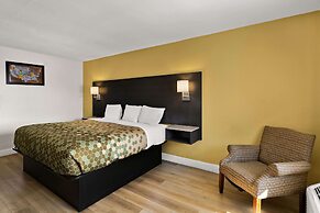 Econo Lodge White Pine Morristown I-81 & I-40 Split