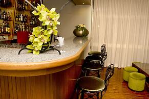 Hotel Rainha D. Amelia, Arts & Leisure