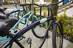 The Shoal La Jolla Beach