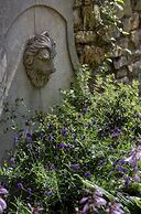 Best Western Forest & Vale Hotel