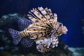 Aloft Atlanta Downtown