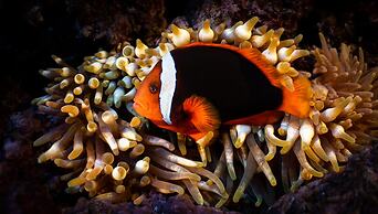 Aloft Atlanta Downtown