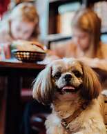 Quality Hotel Panorama