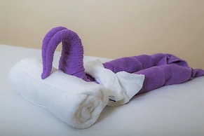 The Cardiff Hotel & Spa