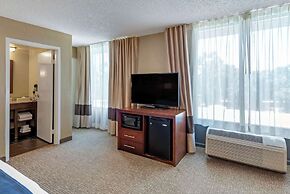 Comfort Inn Elizabeth City near University