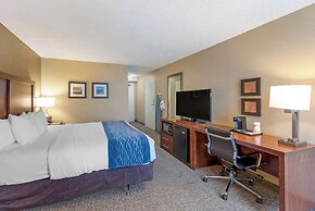 Comfort Inn Elizabeth City near University