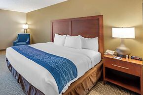 Comfort Inn Elizabeth City near University