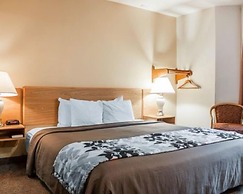 Rodeway Inn Boise Airport