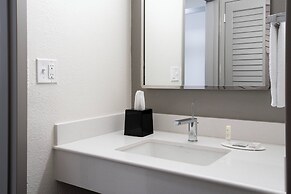 Courtyard St. Petersburg Clearwater