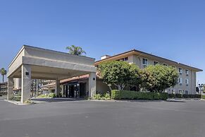 Best Western Plus Executive Inn