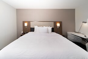 Comfort Inn & Suites Wyomissing/Reading