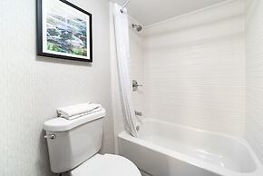 Comfort Inn & Suites Wyomissing/Reading