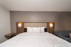 Comfort Inn & Suites Wyomissing/Reading