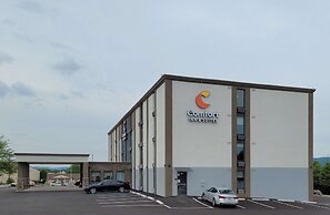 Comfort Inn & Suites Wyomissing/Reading