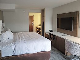 Comfort Inn & Suites Wyomissing/Reading
