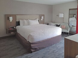 Comfort Inn & Suites Wyomissing/Reading
