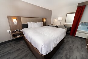 Comfort Inn & Suites Wyomissing/Reading