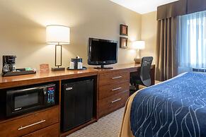 Comfort Inn Iron Mountain North