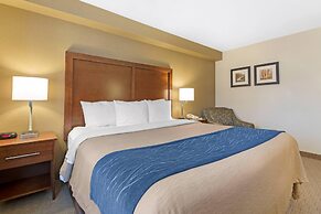Comfort Inn Iron Mountain North
