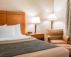 Comfort Inn Metro Airport