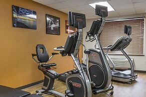 Comfort Inn Metro Airport