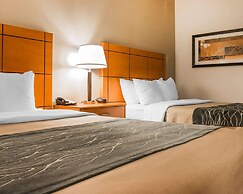 Comfort Inn Metro Airport