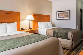 Comfort Inn Metro Airport