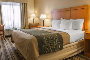 Comfort Inn Metro Airport