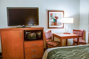 Comfort Inn Metro Airport