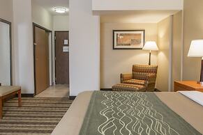 Comfort Inn Metro Airport