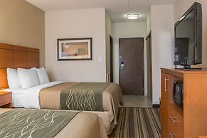Comfort Inn Metro Airport