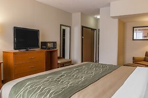 Comfort Inn Metro Airport