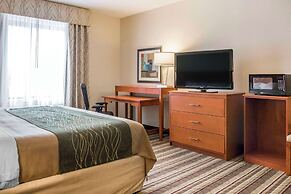 Comfort Inn Metro Airport