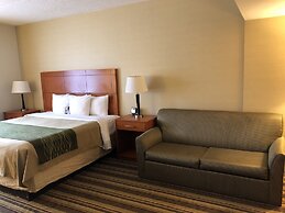 Comfort Inn Metro Airport