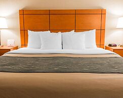 Comfort Inn Metro Airport