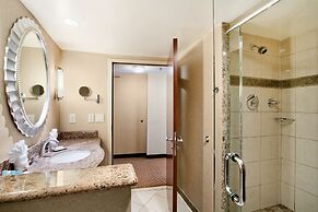 Hilton Washington Dulles Airport