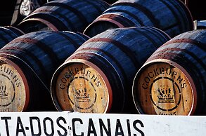 ibis Porto Sul Europarque